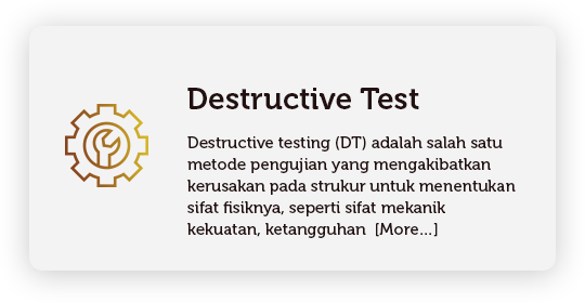 Destructive testing (DT) adalah salah satu metode pengujian yang mengakibatkan kerusakan pada strukur untuk menentukan sifat fisiknya, seperti sifat mekanik kekuatan, ketangguhan, fleksibilitas, dan kekerasan.
