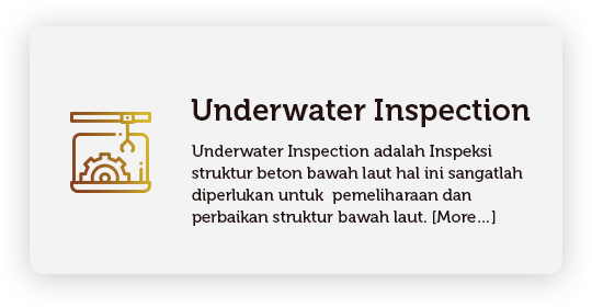 Underwater Inspection adalah Inspeksi struktur beton bawah laut hal ini sangatlah diperlukan untuk pemeliharaan dan perbaikan struktur bawah laut.